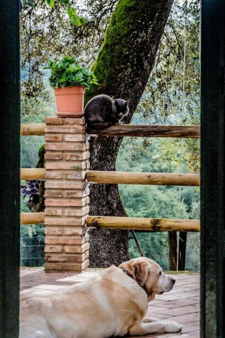 Casa Rural Alicia Cortegana Esterno foto