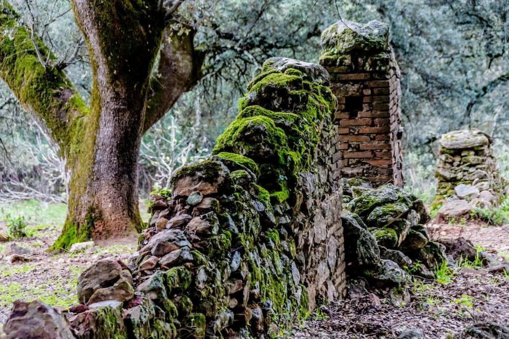 Casa Rural Alicia Cortegana Esterno foto