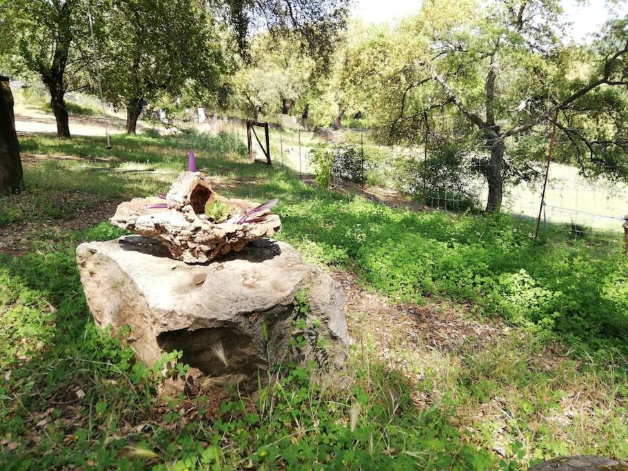 Casa Rural Alicia Cortegana Esterno foto